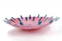 Pink sea urchin