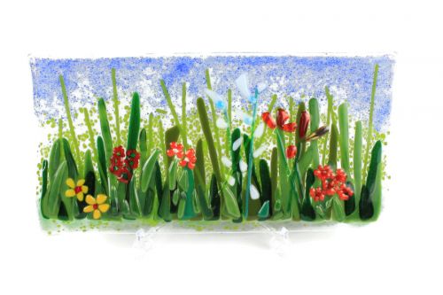 Summer meadow